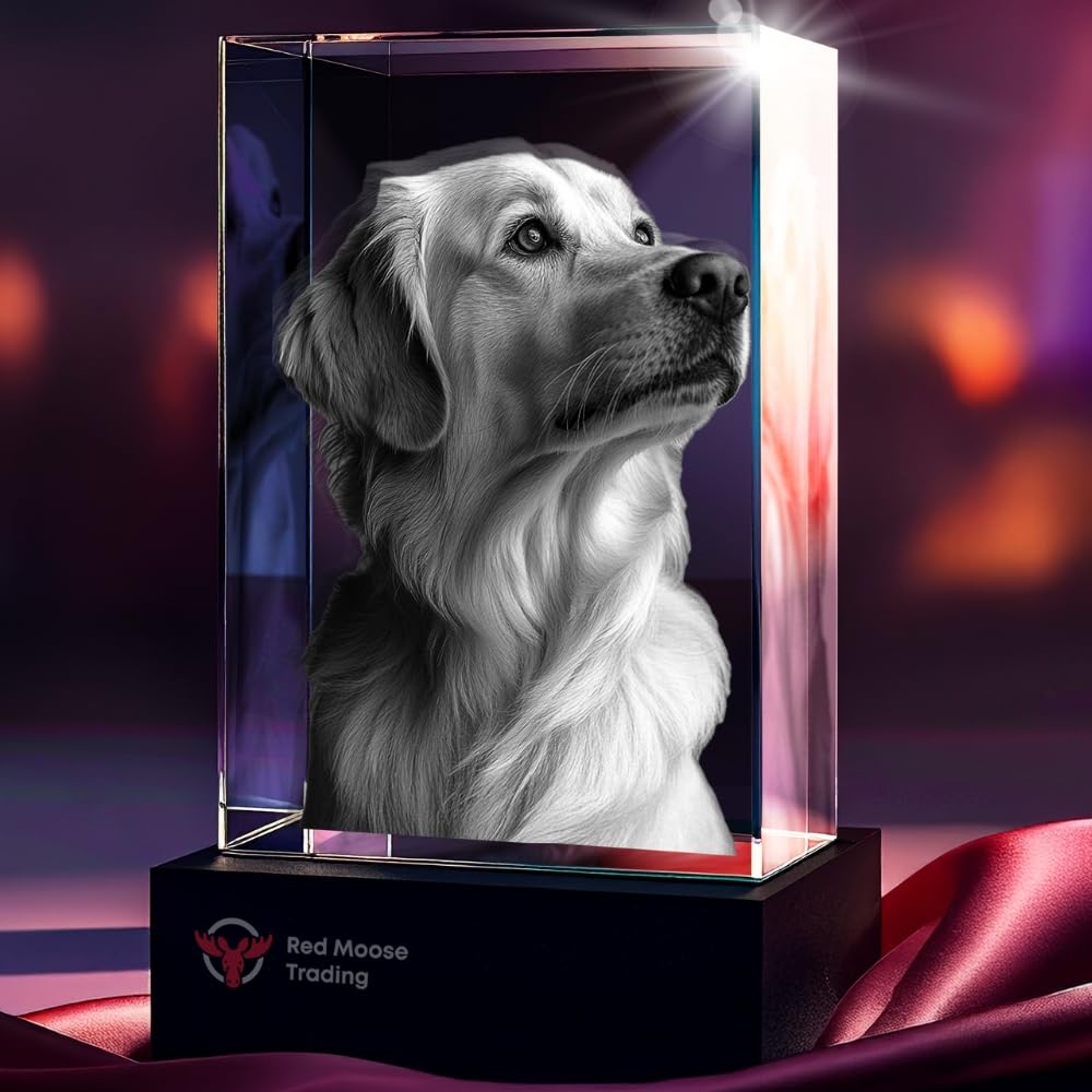 3D Crystal Rectangle - Portrait personalized with a photo, image 5