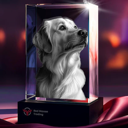 3D Crystal Rectangle - Portrait personalized with a photo, image 5